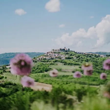 Stanzia Vinella * Motovun